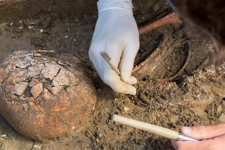 Archäologe der ProArch GmbH gräbt vorsichtig ein Skelett im Boden aus